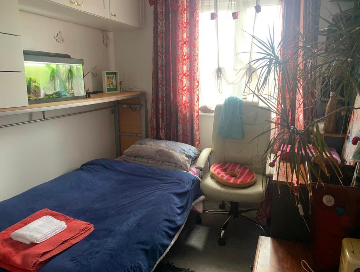 Cosy Room In London Wembley المظهر الخارجي الصورة